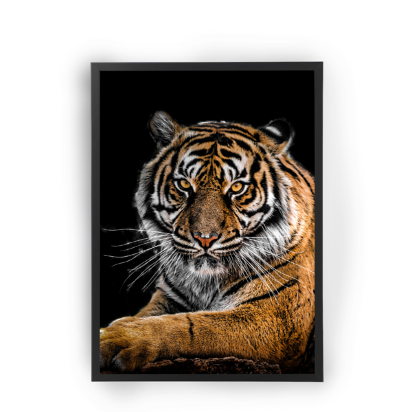 poster tigre